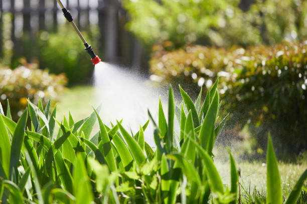 24/7 Emergency Termite Control experts in Wisner, NE